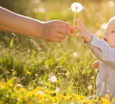 Alergiu u detí zmierni aj načasovanie prechádzok