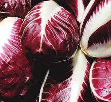 Chutná čakanka na viacero spôsobov