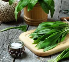 Medvedí cesnak posilní imunitu a to nie je všetko!