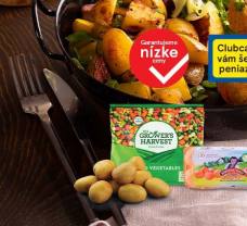 Recept na zeleninové fašírky